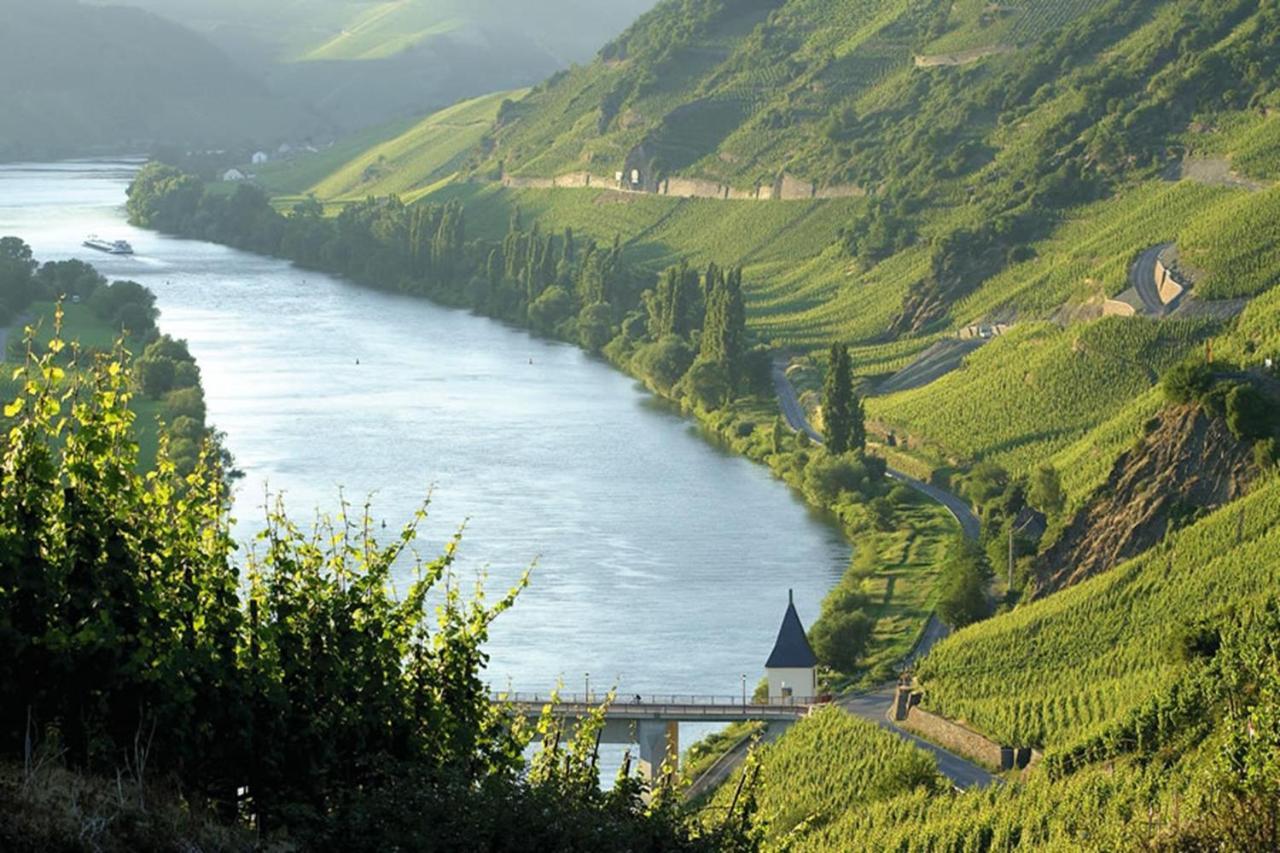 Weingut & Gaestehaus Christoph Cluesserath Триттенхайм Экстерьер фото