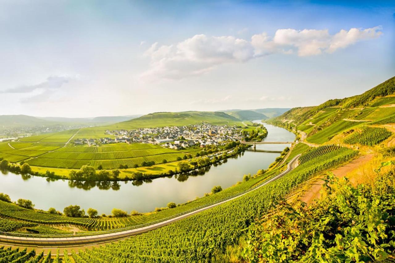 Weingut & Gaestehaus Christoph Cluesserath Триттенхайм Экстерьер фото