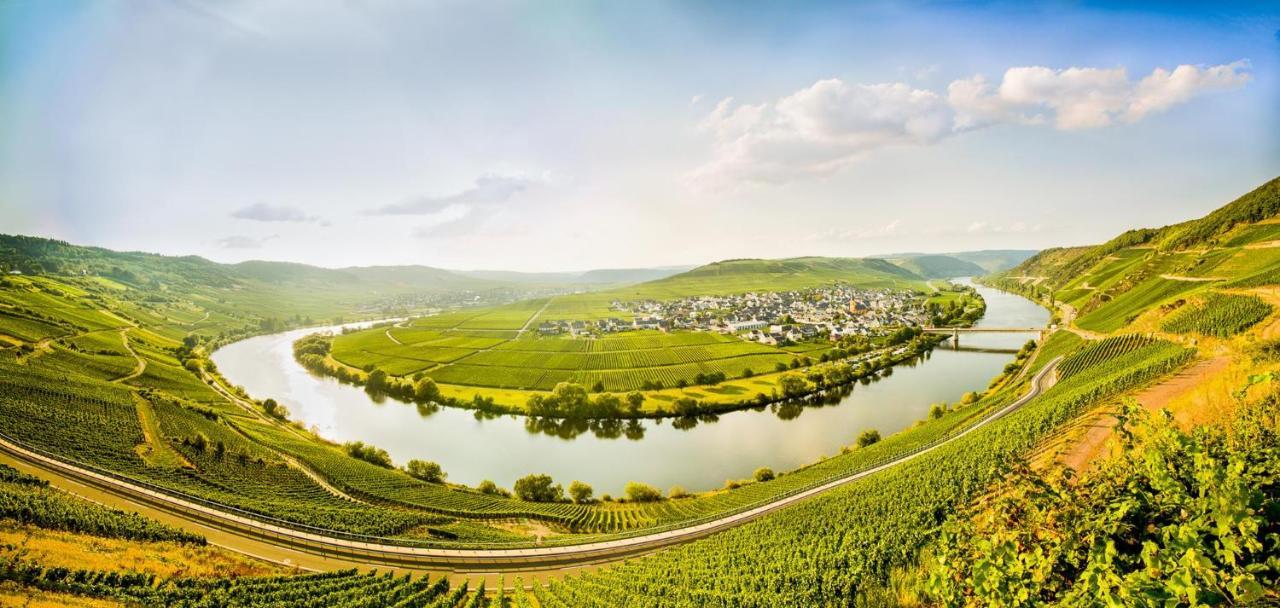 Weingut & Gaestehaus Christoph Cluesserath Триттенхайм Экстерьер фото