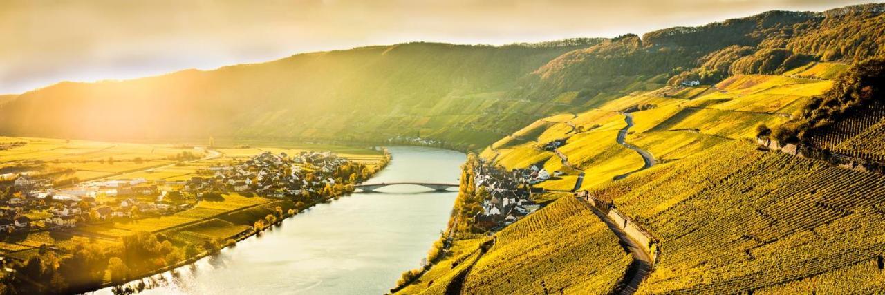 Weingut & Gaestehaus Christoph Cluesserath Триттенхайм Экстерьер фото
