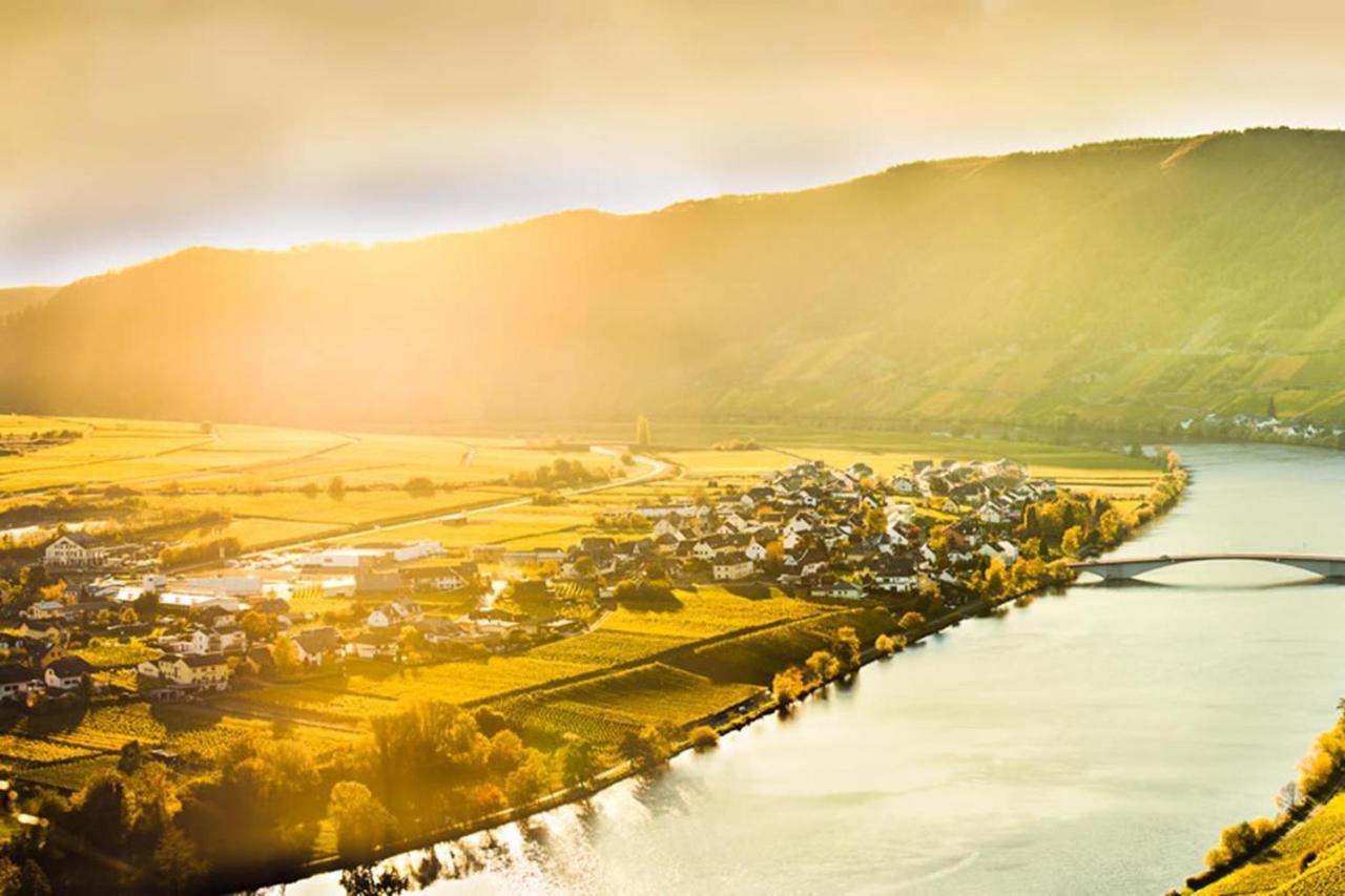 Weingut & Gaestehaus Christoph Cluesserath Триттенхайм Экстерьер фото