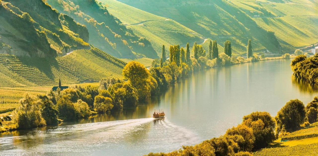 Weingut & Gaestehaus Christoph Cluesserath Триттенхайм Экстерьер фото