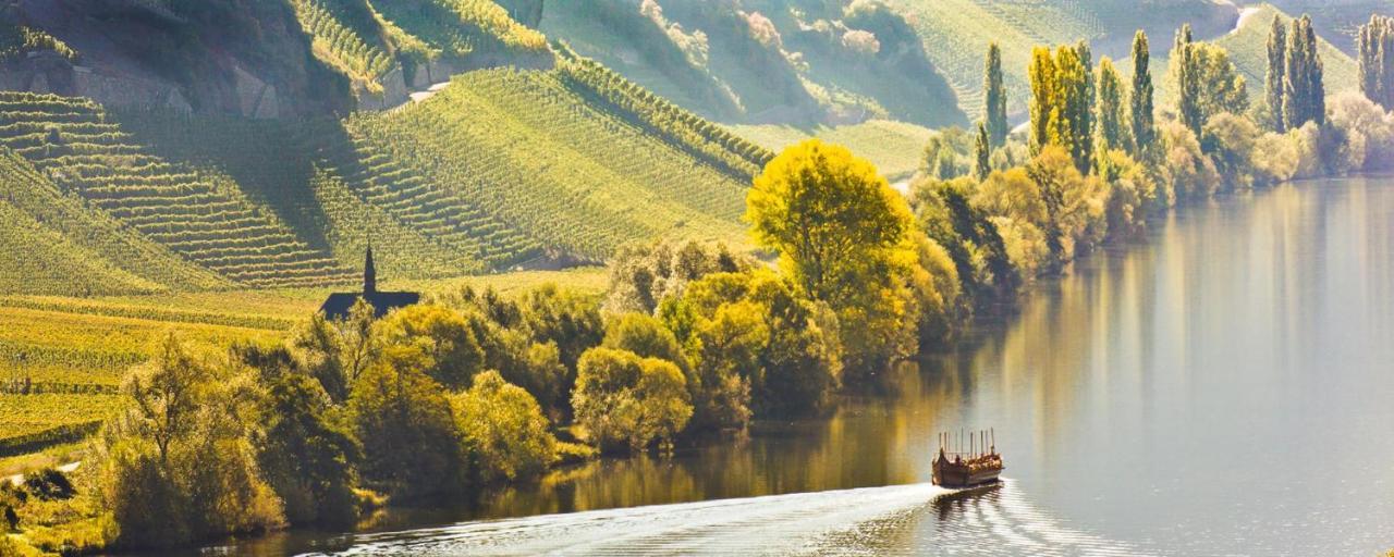 Weingut & Gaestehaus Christoph Cluesserath Триттенхайм Экстерьер фото
